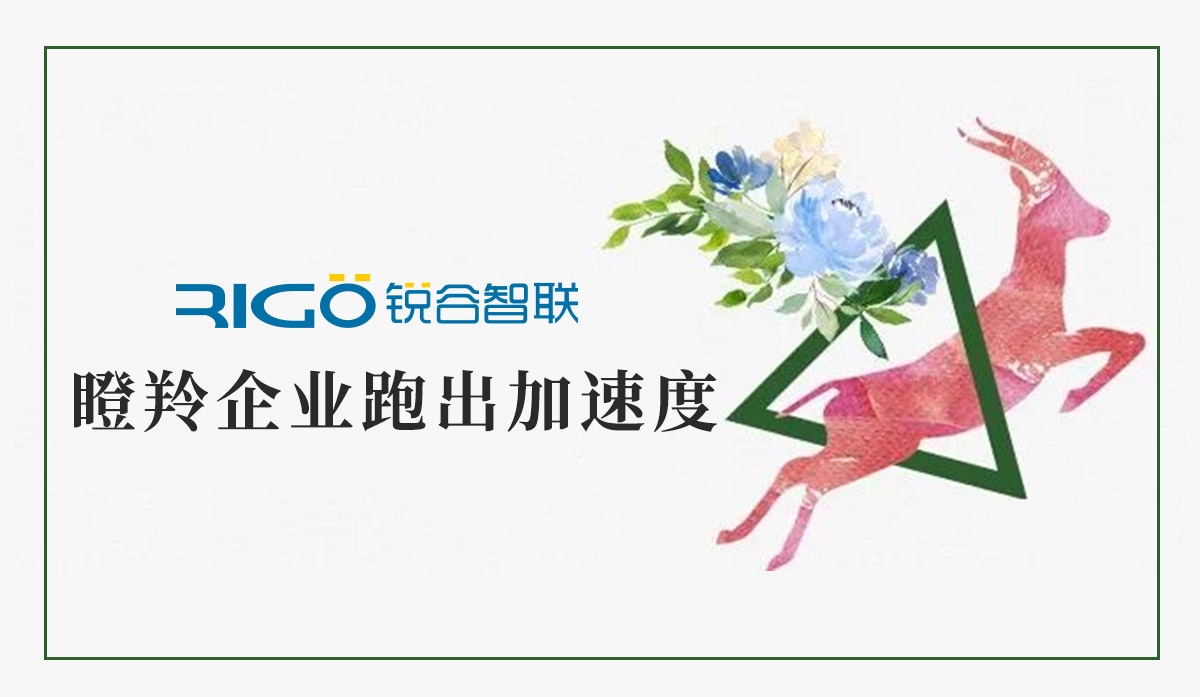 火炬高新區(qū)助力“瞪羚”企業(yè)跑出加速度，超半數(shù)分布廈門軟件園